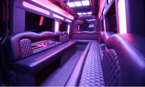 San Angelo 14 Passenger Sprinter Bus Interior